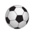  辽宁盛京新锐logo