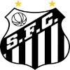  桑托斯logo