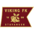  维京U19logo